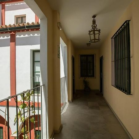 Vidrio Sevilla Deluxe Apartment 외부 사진